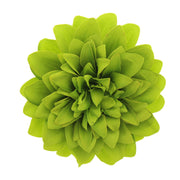 Chrysanthemum on Concord Clip & Brooch Pin