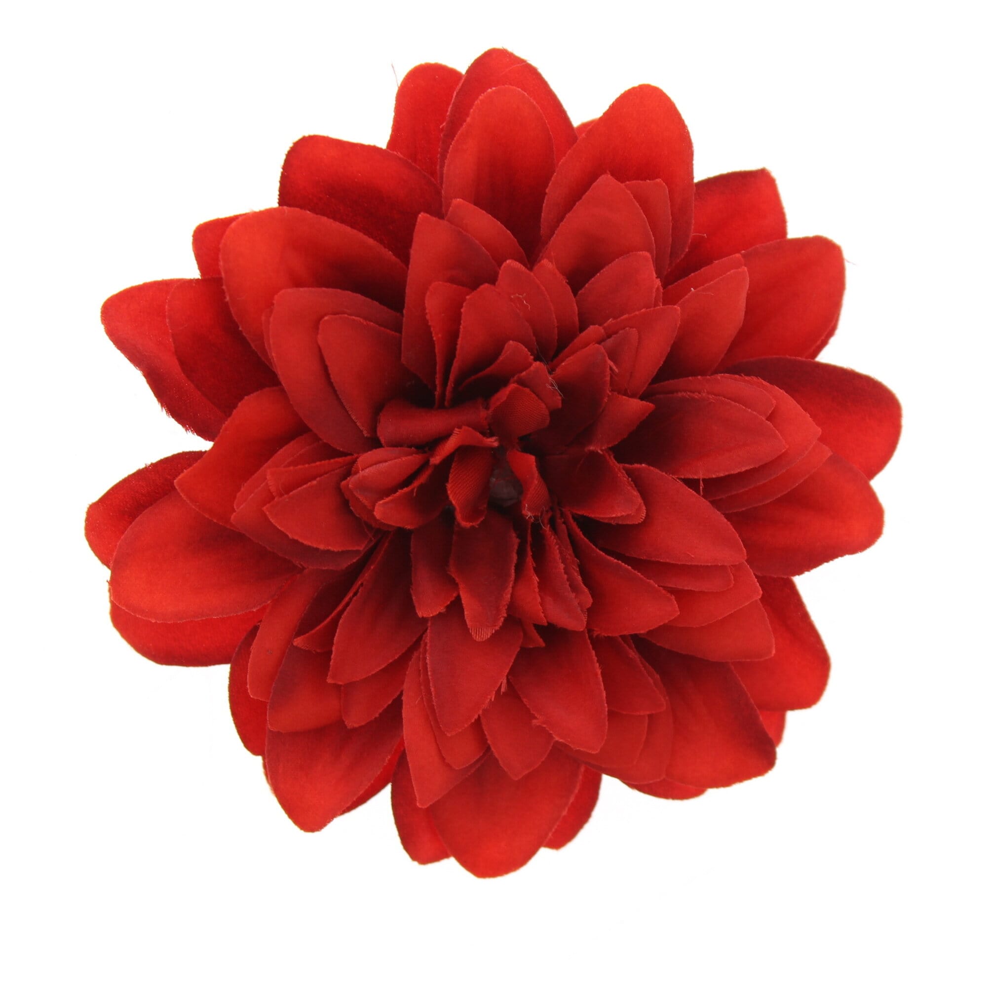 Chrysanthemum on Concord Clip & Brooch Pin