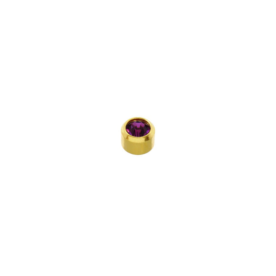 Amethyst Stone Gold Plated Caflon Ear Studs