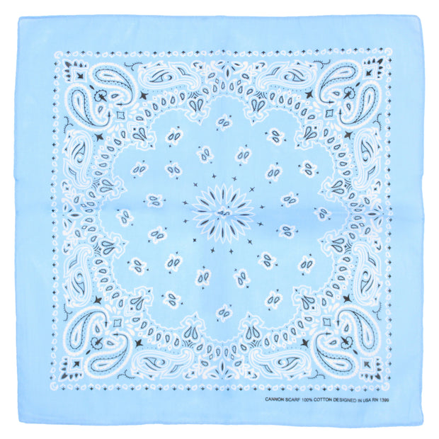 Alternative Retro Paisley Bandana