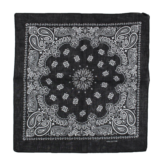 Alternative Retro Paisley Bandana