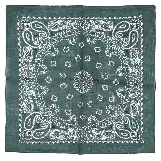 Alternative Retro Paisley Bandana