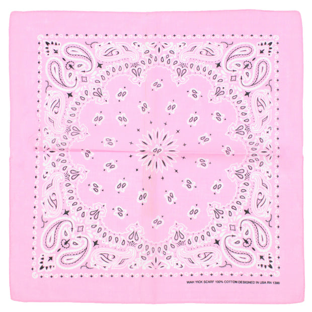 Alternative Retro Paisley Bandana