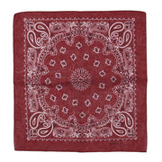 Alternative Retro Paisley Bandana