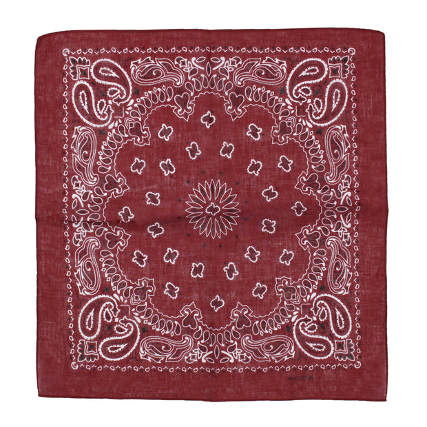 Alternative Retro Paisley Bandana