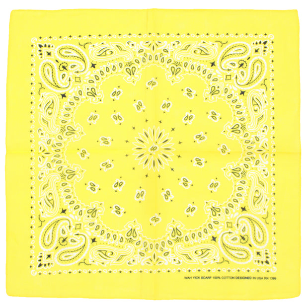 Alternative Retro Paisley Bandana