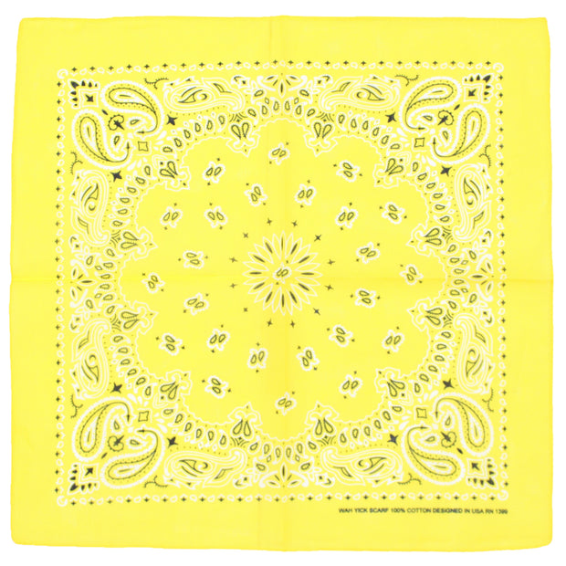 Alternative Retro Paisley Bandana