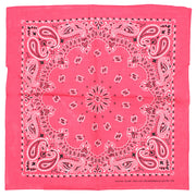 Alternative Retro Paisley Bandana