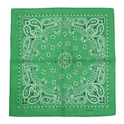 Alternative Retro Paisley Bandana