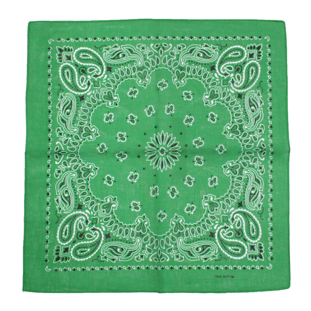 Alternative Retro Paisley Bandana