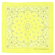 Alternative Retro Paisley Bandana