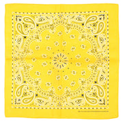 Alternative Retro Paisley Bandana