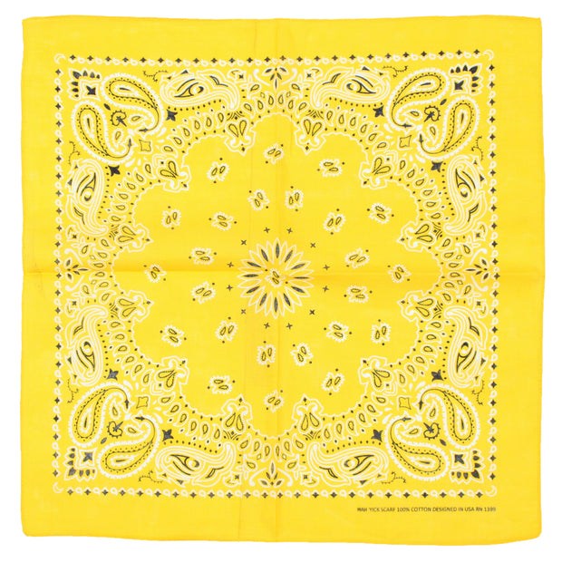 Alternative Retro Paisley Bandana