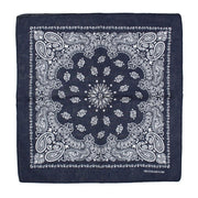 Alternative Retro Paisley Bandana