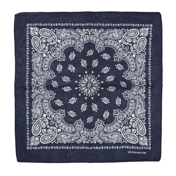 Alternative Retro Paisley Bandana