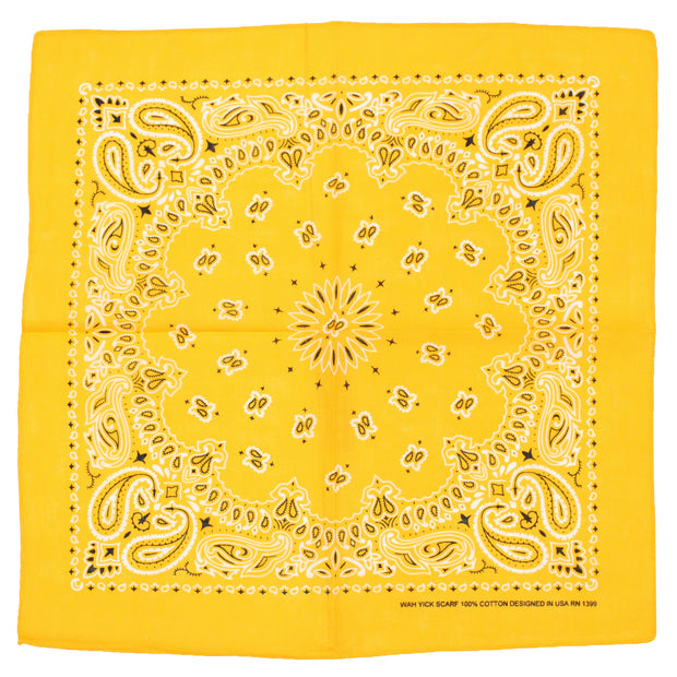 Alternative Retro Paisley Bandana