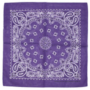 Alternative Retro Paisley Bandana