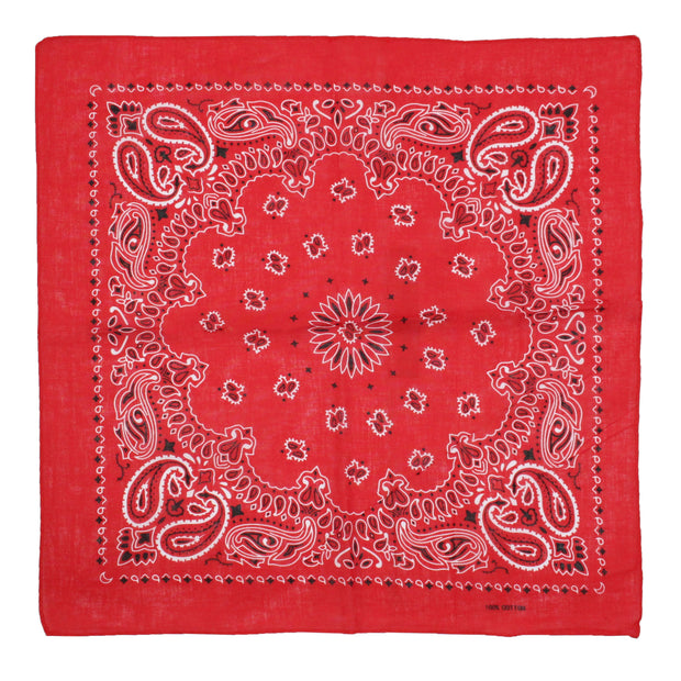 Alternative Retro Paisley Bandana