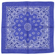 Alternative Retro Paisley Bandana