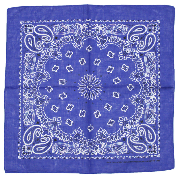 Alternative Retro Paisley Bandana