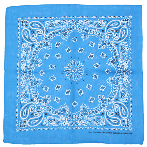 Alternative Retro Paisley Bandana