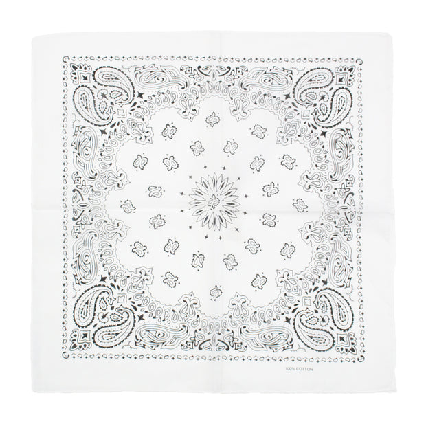 Alternative Retro Paisley Bandana