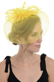 Black Fascinator On Concord Beak Clip Or Aliceband (Diameter Approx. 30cm, Height Approx. 10cm)