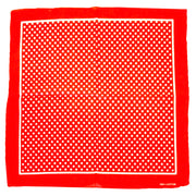 Small Polka Dot Bandana with Border