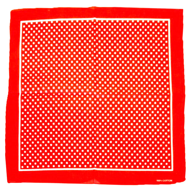 Small Polka Dot Bandana with Border
