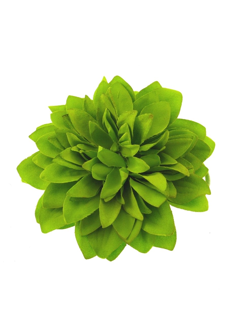 12 / Lime Green