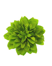 Chrysanthemum on Hair Ponio Elastic