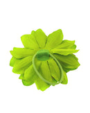 Chrysanthemum on Hair Ponio Elastic