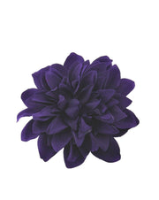 Chrysanthemum on Hair Ponio Elastic