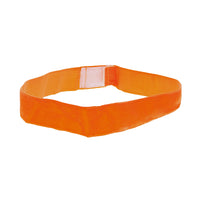 Velvet Choker