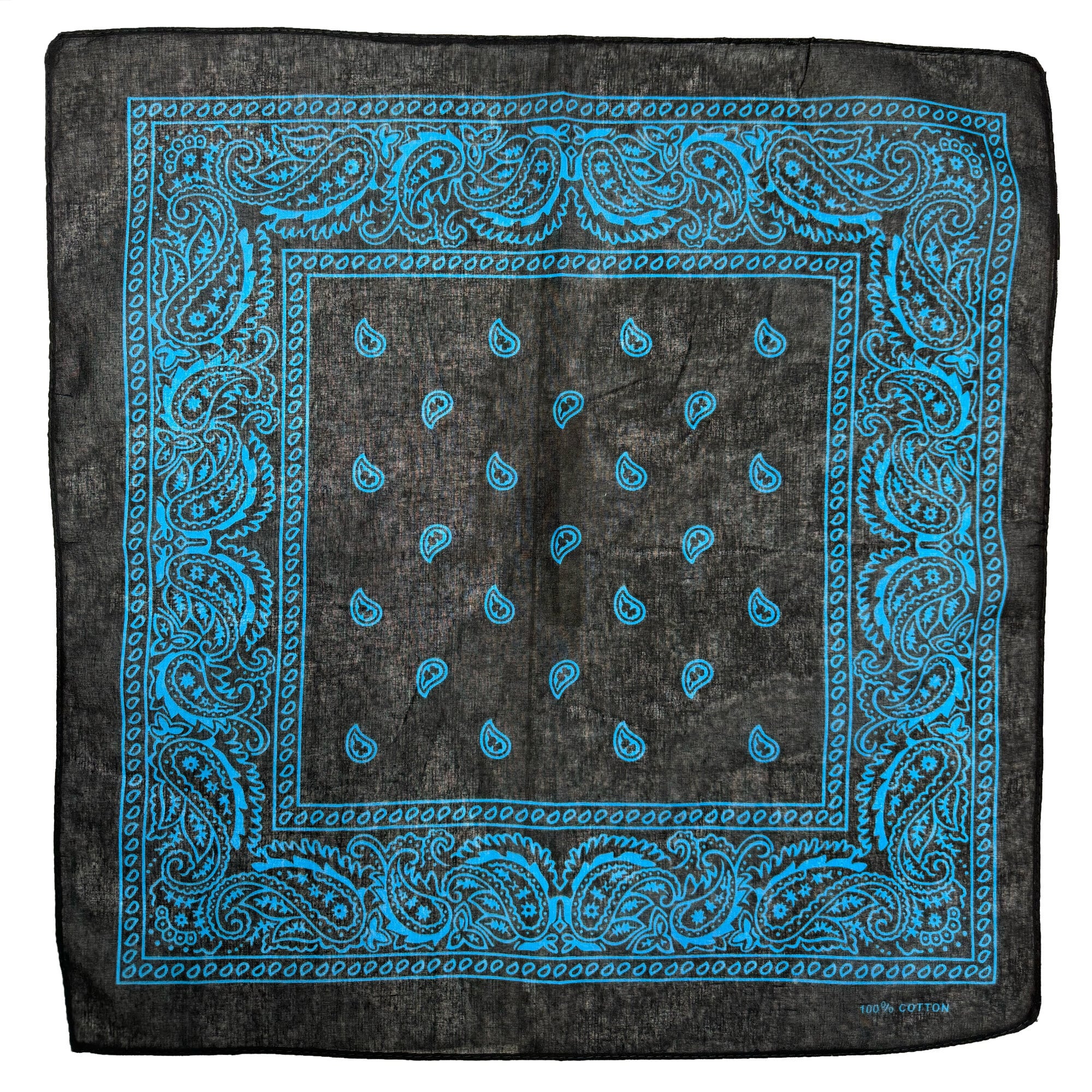 Paisley Print Bandana