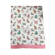 Multicolour Cat Printed Scarf with Border