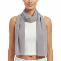 Silver Chiffon Scarf