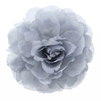 Large Flat Rose on Concord Clip & Brooch Hair Pin