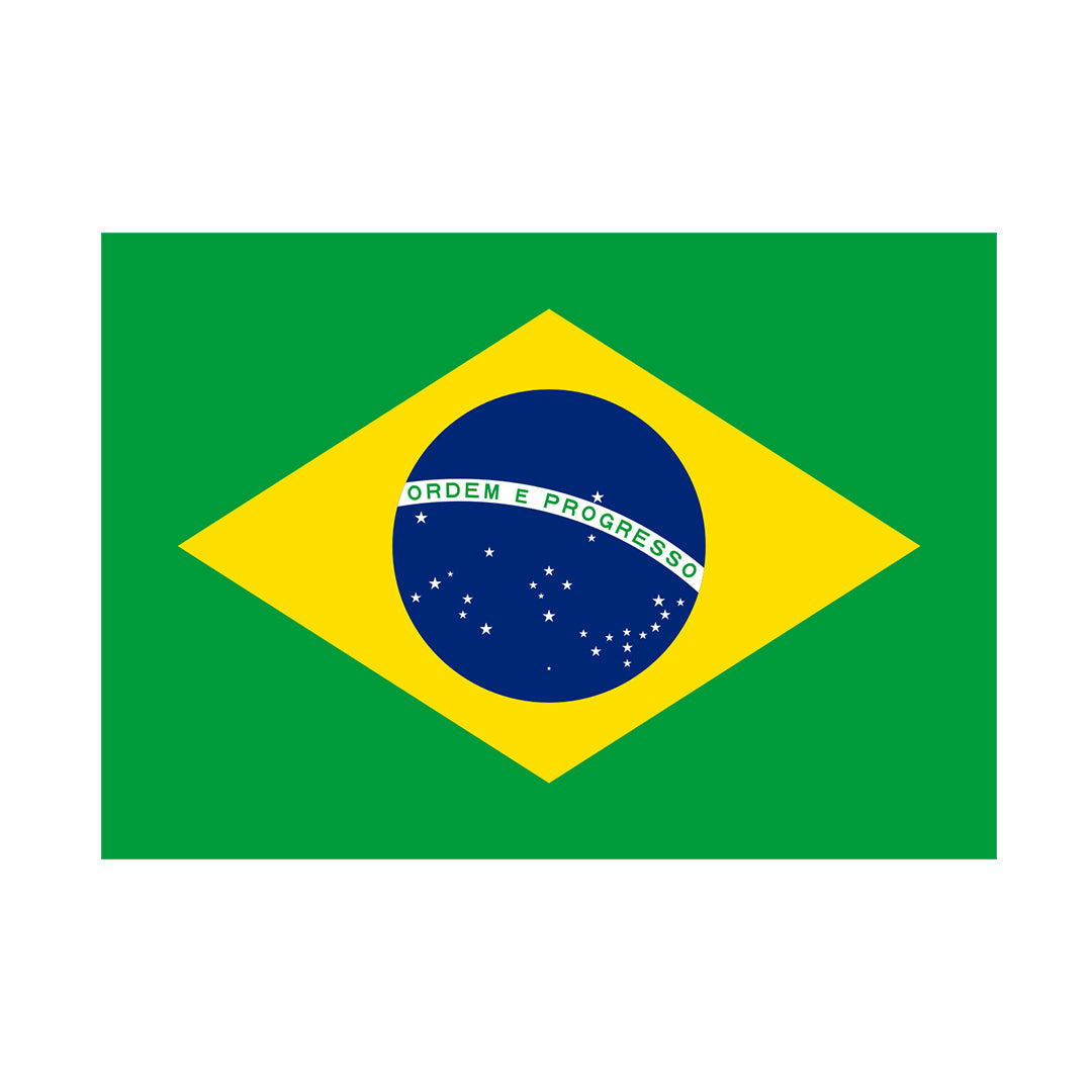 Brazil Flag with Brass Eyelets