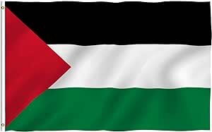 5 x 3 Feet Palestine Flag with Brass Eyelets