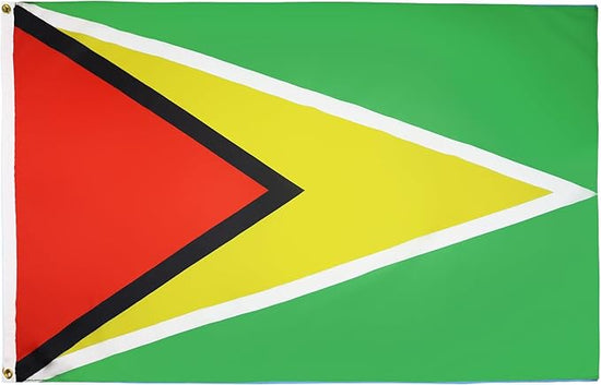 Guyana Flag with Brass Eyelets