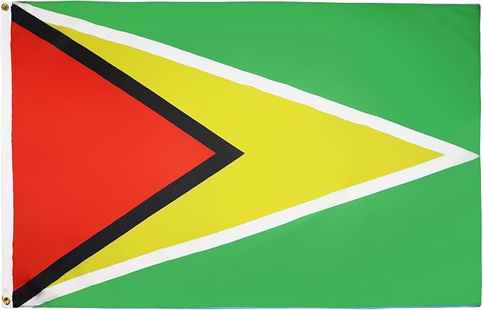 Guyana Flag with Brass Eyelets