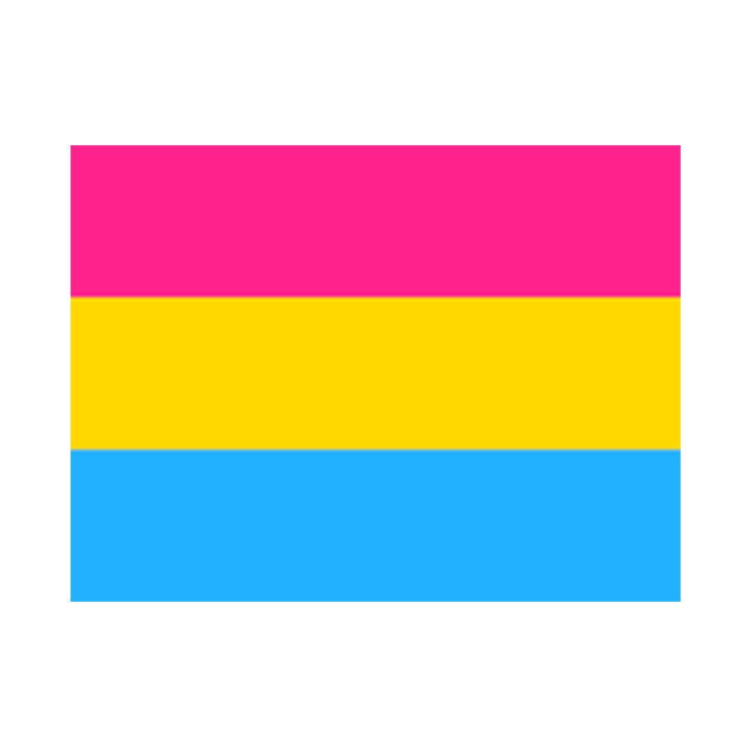 5 x 3 Feet Pansexual Flag with Brass Eyelets