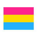 5 x 3 Feet Pansexual Flag with Brass Eyelets