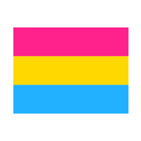 5 x 3 Feet Pansexual Flag with Brass Eyelets