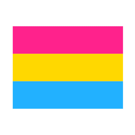 5 x 3 Feet Pansexual Flag with Brass Eyelets