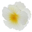 8cm White Shiny Hawaiian Hibiscus Flower Hair Clips