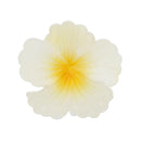 8cm White Shiny Hawaiian Hibiscus Flower Hair Clips