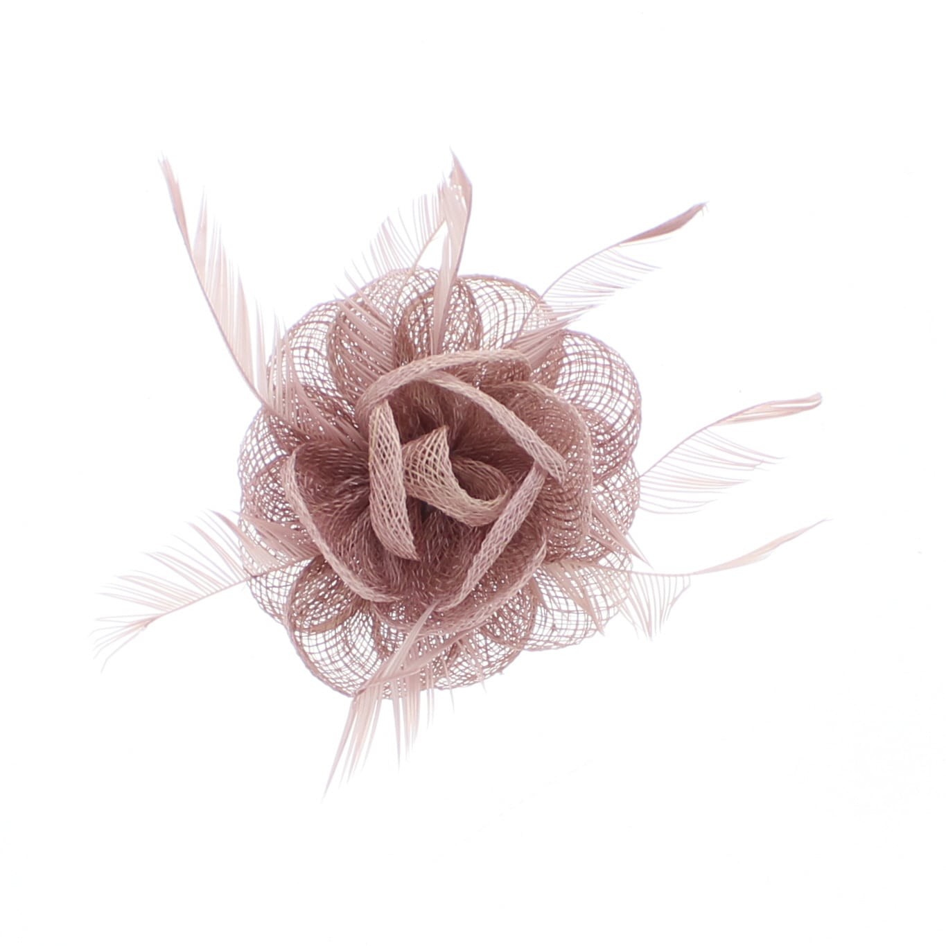 Fascinator On Concord Clip & Brooch Pin