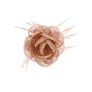 Fascinator On Concord Clip & Brooch Pin
